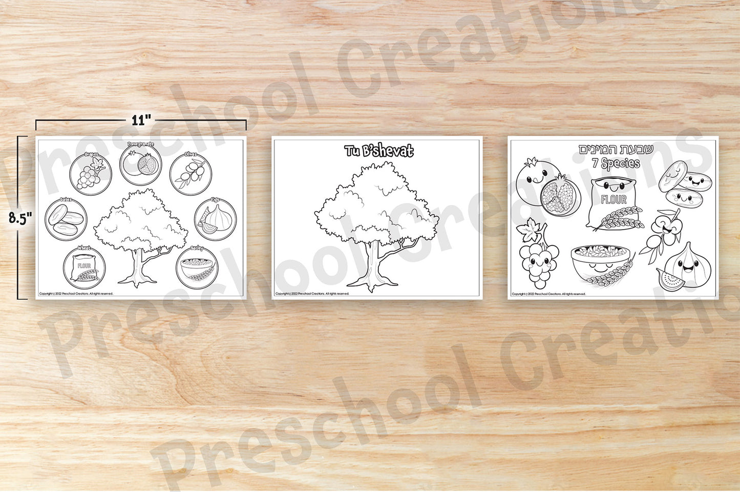 3 Black and white coloring pages for Tu B'shevat depicting a tree, the 7 special kinds that Israel is blessed by and a picture of both together. You can use the tree picture as a baseline for any Tu B'shevat project you are doing. A family tree, fruits on the tree and more. A tu b'shevat Tree Large and Small versions of the shivat haminim - 7 species wheat barely grapes figs pomegranates olives dates. 7 species of Israel celebrating the birthday and new year of the trees.