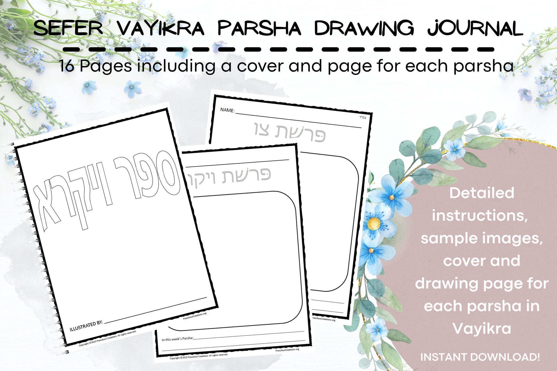 Sefer Vayikra parsha drawing journal