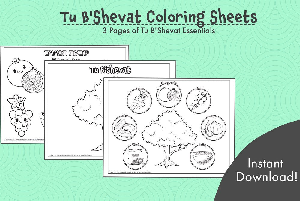 3 Black and white coloring pages for Tu B'shevat depicting a tree, the 7 special kinds that Israel is blessed by and a picture of both together.  You can use the tree picture as a baseline for any Tu B'shevat project you are doing. A family tree, fruits on the tree and more.  A tu b'shevat Tree Large and Small versions of the shivat haminim - 7 species wheat barely grapes figs pomegranates olives dates. 7 species of Israel celebrating the birthday and new year of the trees.